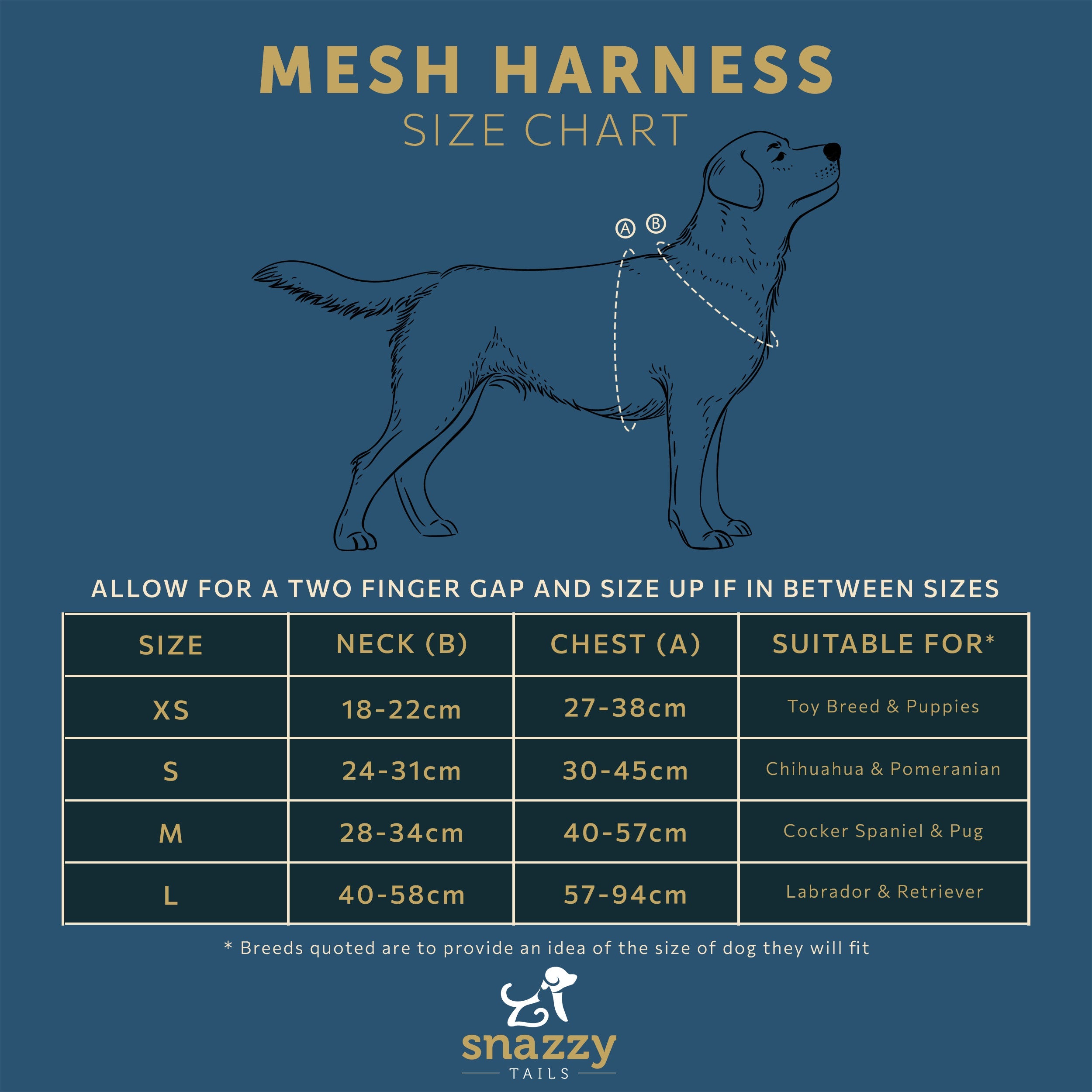The Minnie Mesh Harness