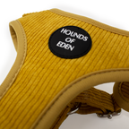 Mustard Yellow Corduroy Collar