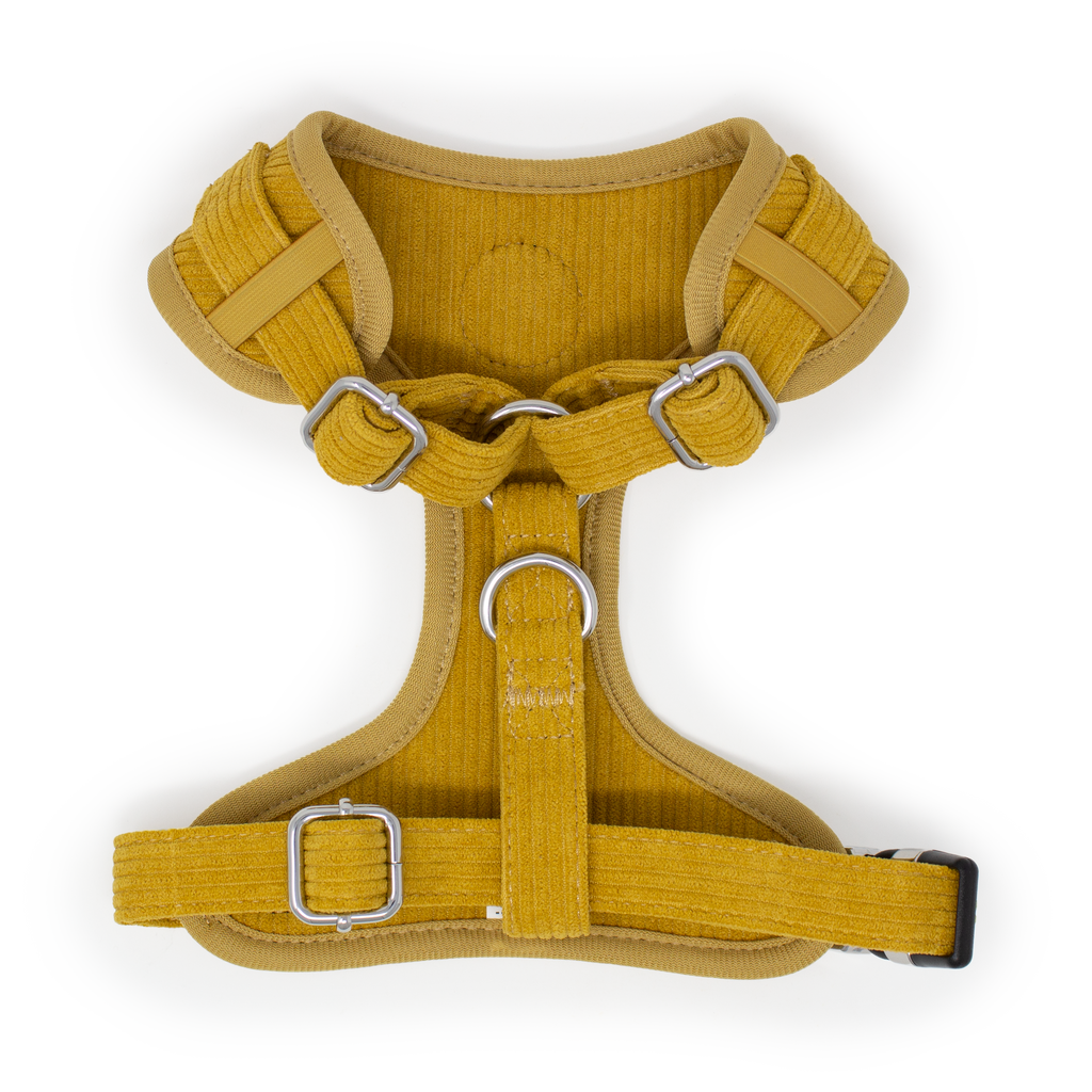 Mustard Yellow Corduroy Collar