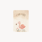 My First Affirmation Cards