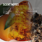Mystice 100ml Reed Diffuser