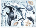 Ocean Predators Decal Set - Orca, Great White Shark, Stingray + More - Watercolour effect stickers