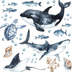 Ocean Predators Decal Set - Orca, Great White Shark, Stingray + More - Watercolour effect stickers