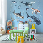 Sea Animals Variety Decal Set - Ocean Theme - Watercolour effect Dolphin, Shark, Turtle & Seal + more