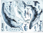 Whales & Fishes Decal Set - Ocean theme - Watercolour effect wall stickers