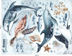 Dolphins & Turtle Decal Set - Ocean Theme - Watercolour Effect Stickers