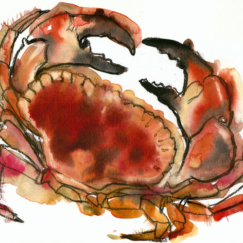 "Newlyn Crab 1" Signed Giclee Print
