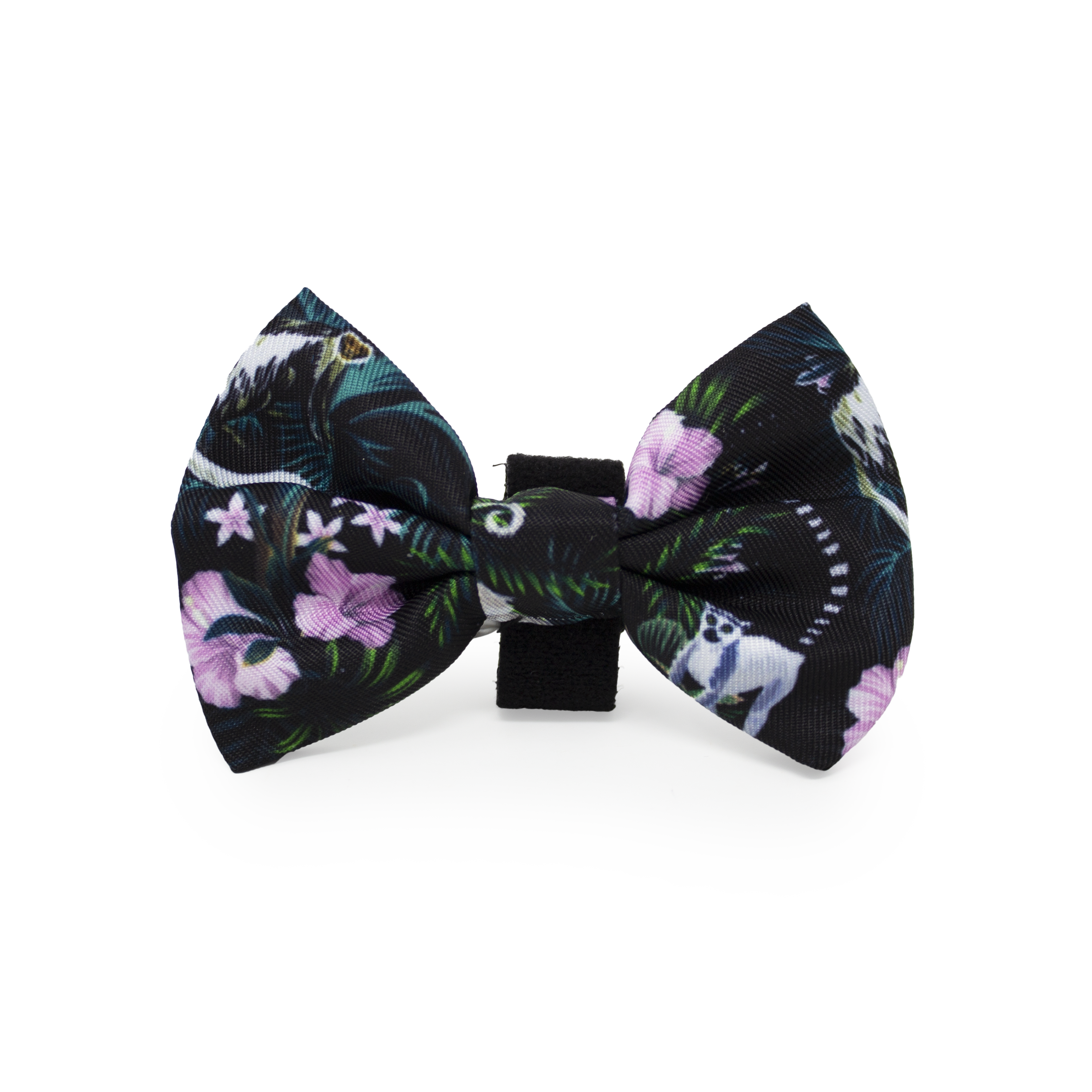 Midnight Madagascar Design Dog Collar
