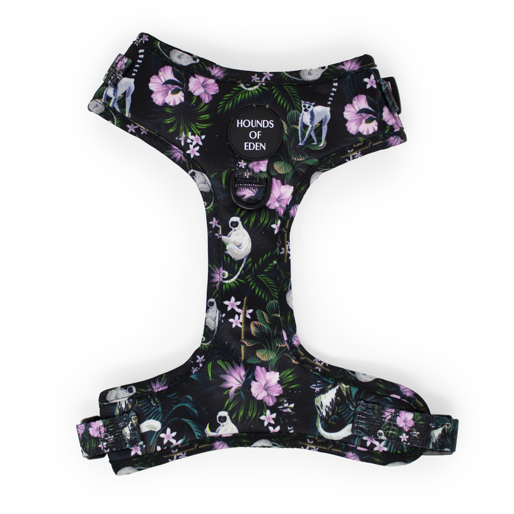 Midnight Madagascar Design Dog Collar