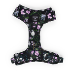 Midnight Madagascar Design Dog Collar