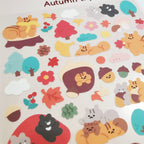 Bonito | Autumn Trip