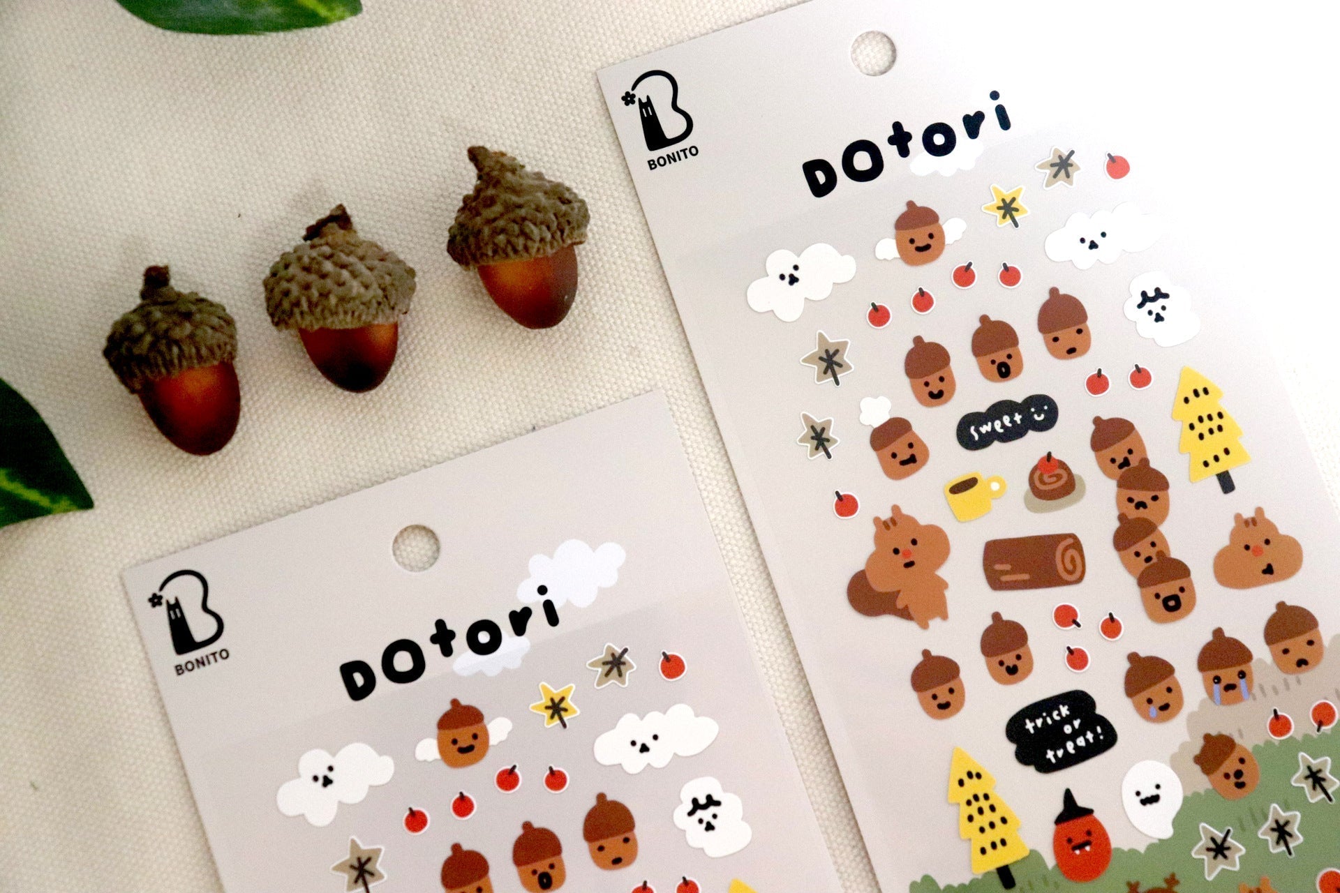 Bonito | Dotori