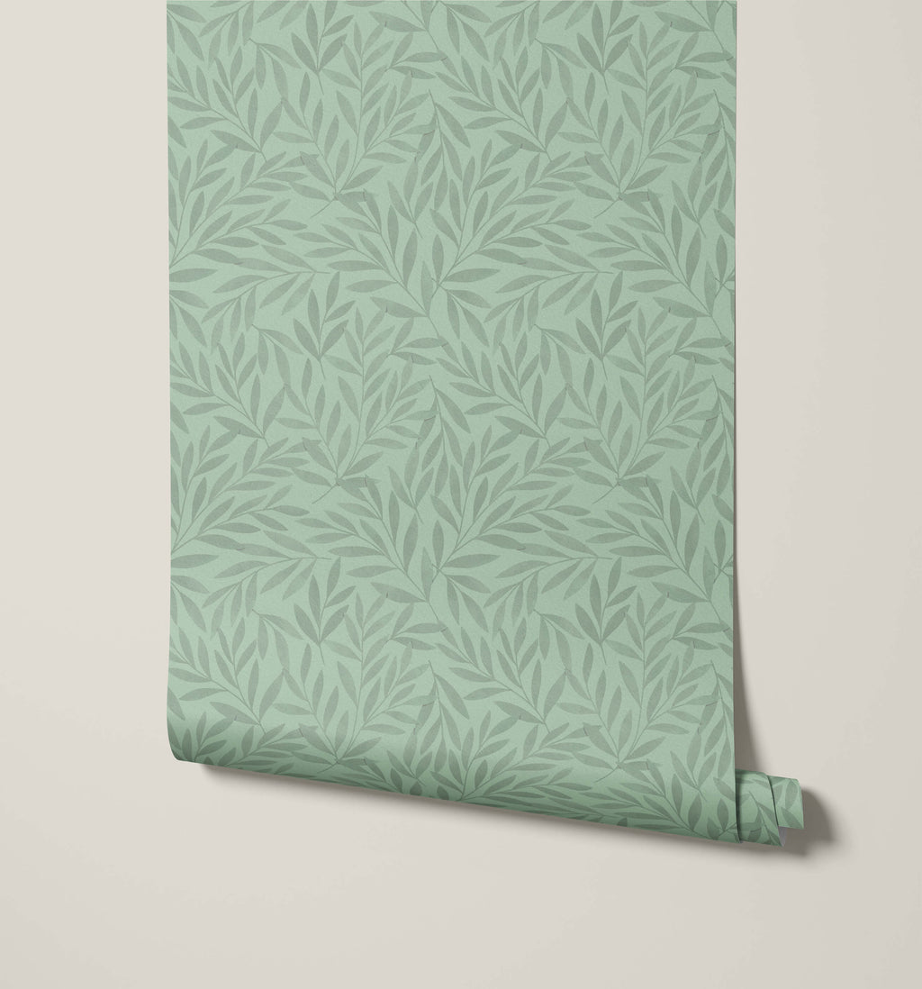 Olea