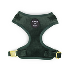 Olive Green Velvet Collar
