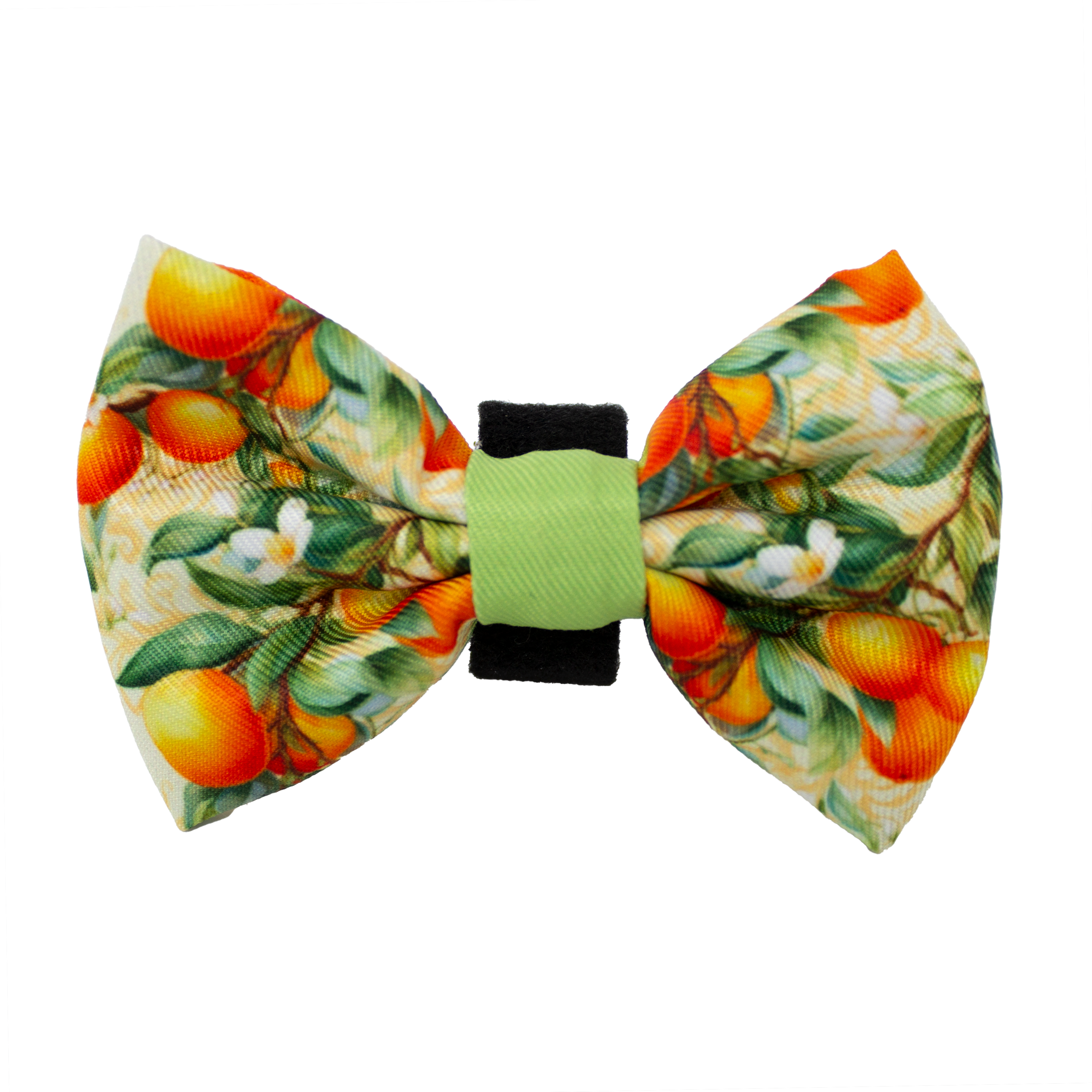 Simply the Zest - Oranges Dog Harness