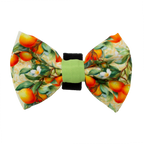Simply the Zest - Oranges Dog Bow Tie