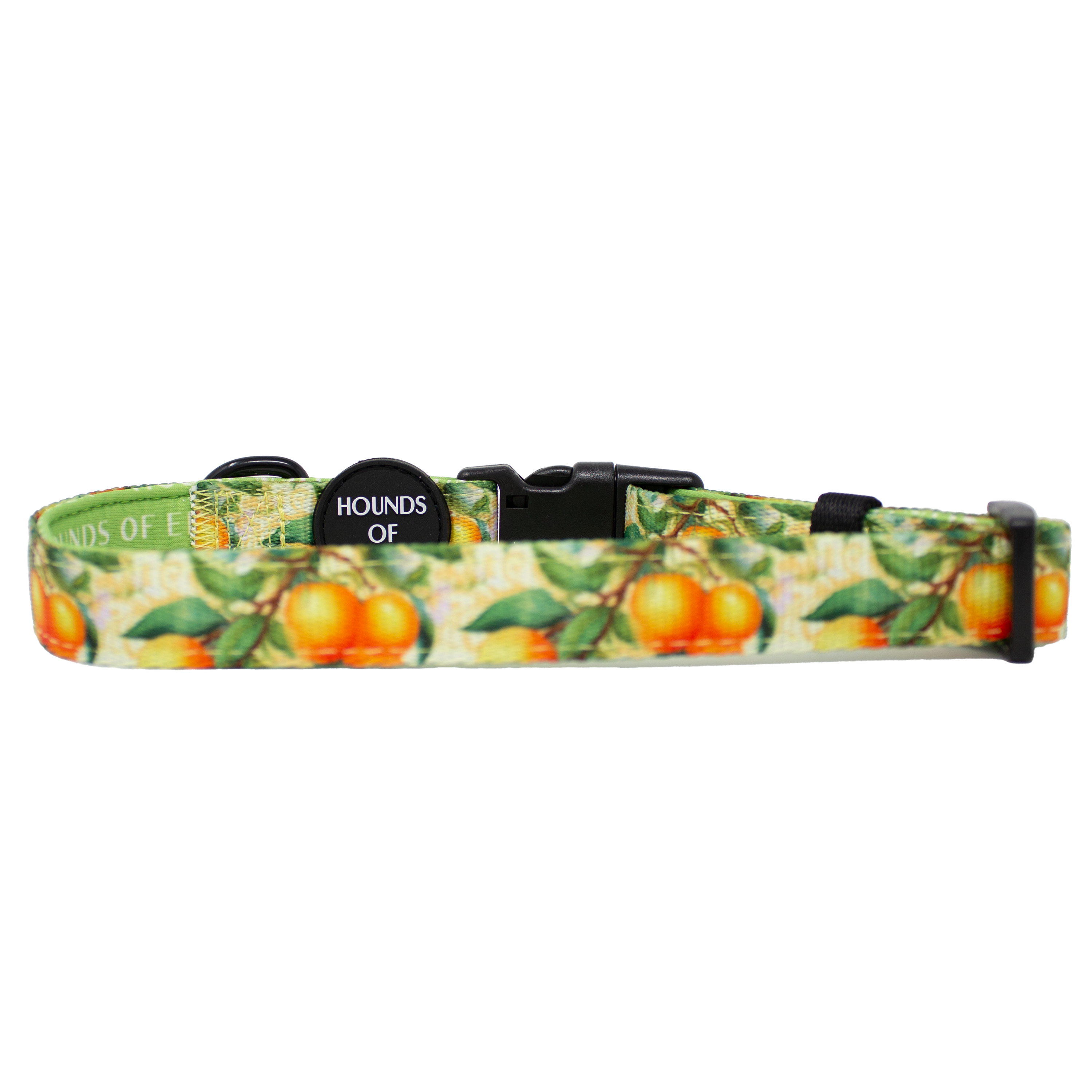 Simply the Zest - Oranges Dog Collar