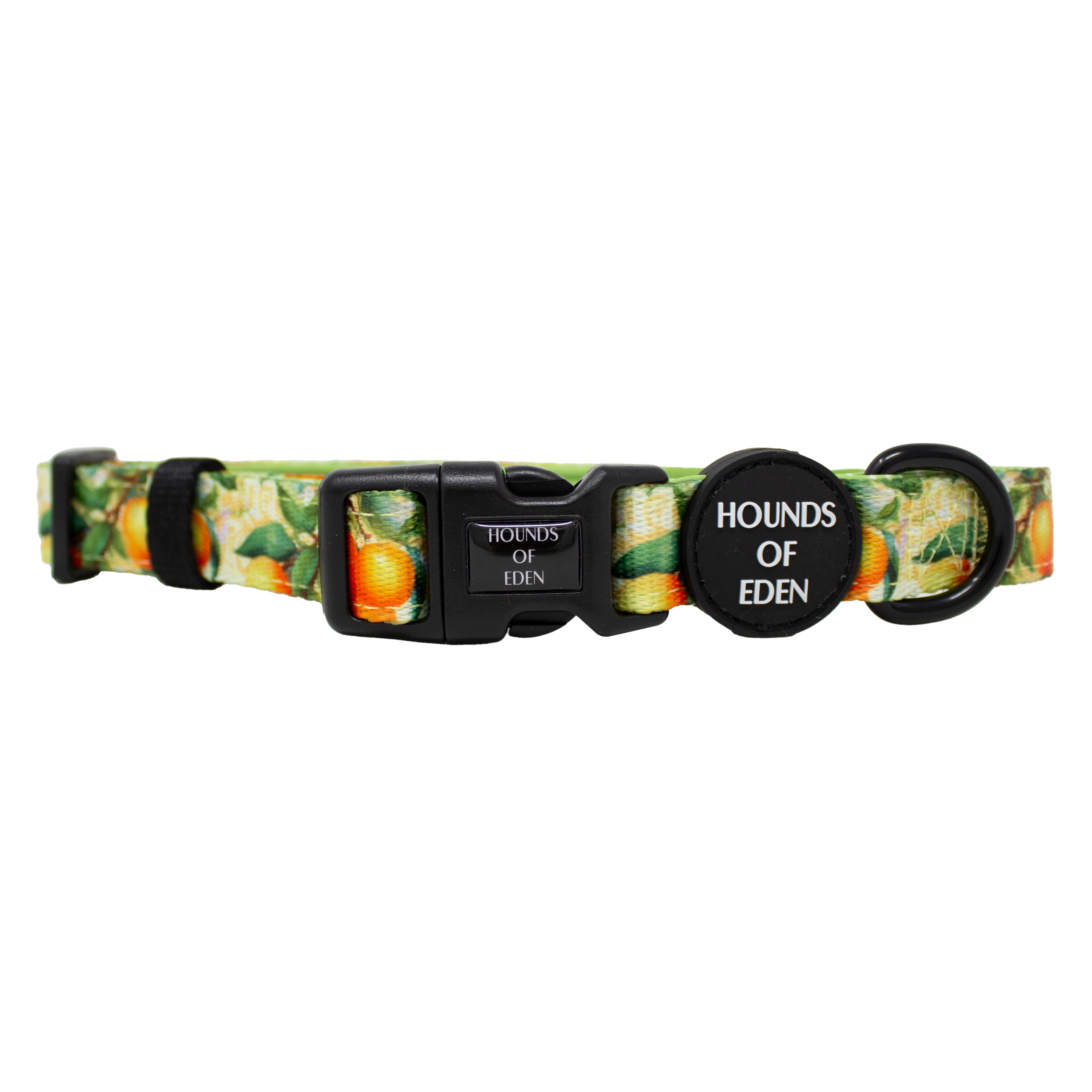 Simply the Zest - Oranges Dog Collar
