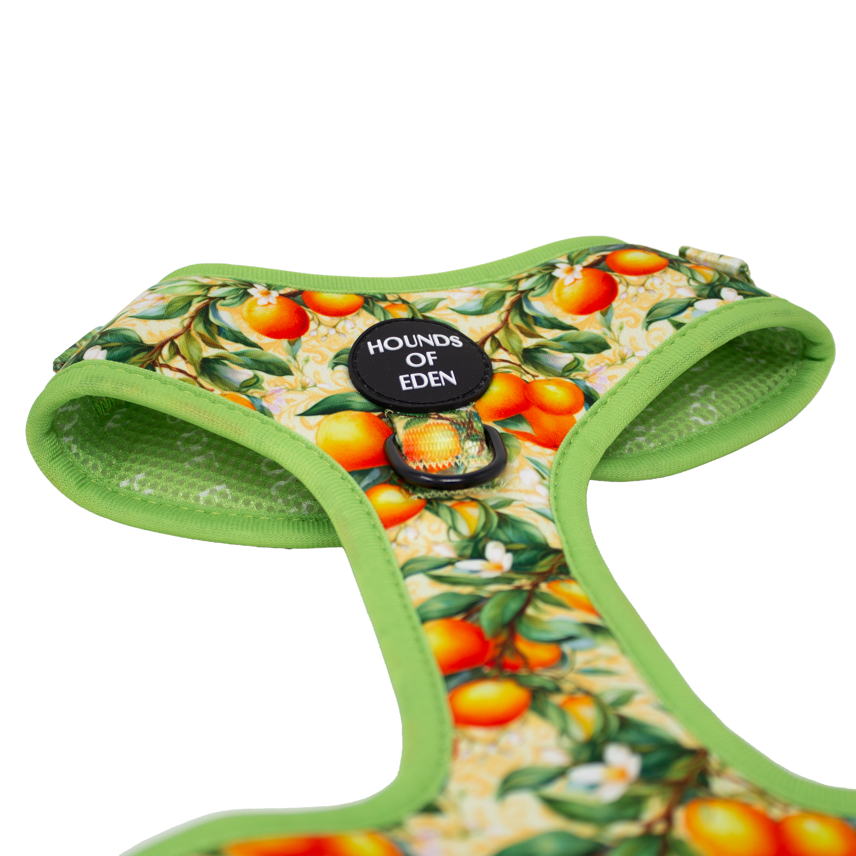 Simply the Zest - Oranges Dog Collar