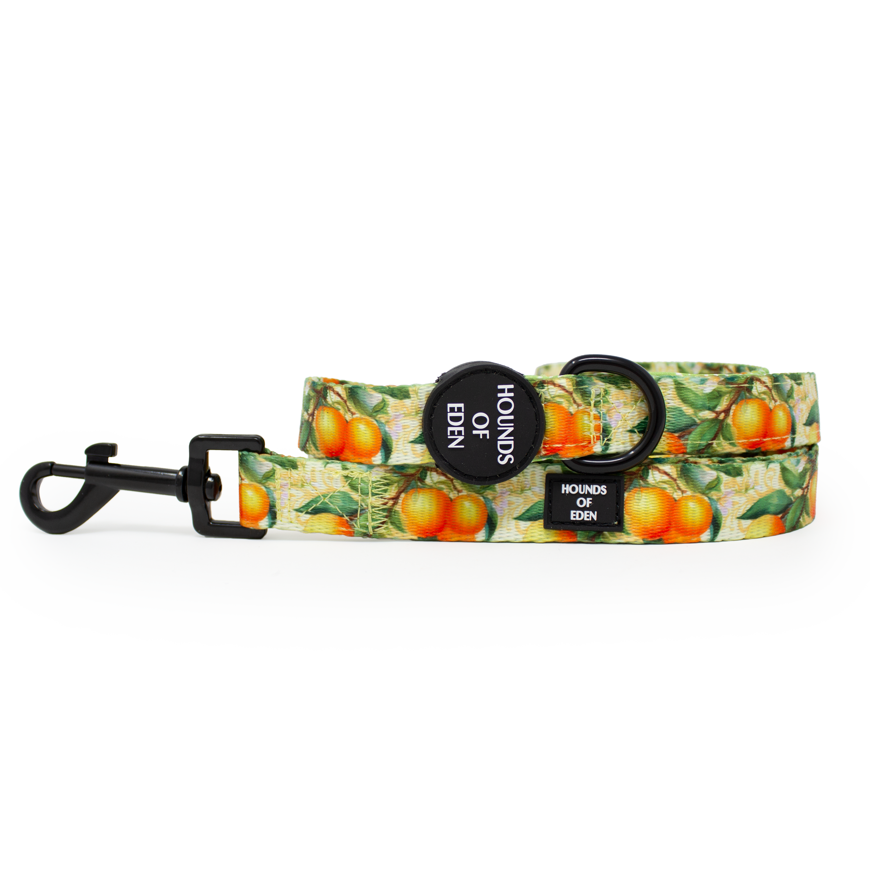 Simply the Zest - Oranges Dog Harness
