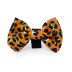 Burnt Orange Leopard Design Dog Collar