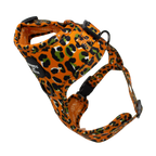 Burnt Orange Leopard Design Dog Collar