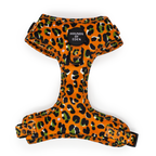 Burnt Orange Leopard Design Dog Collar