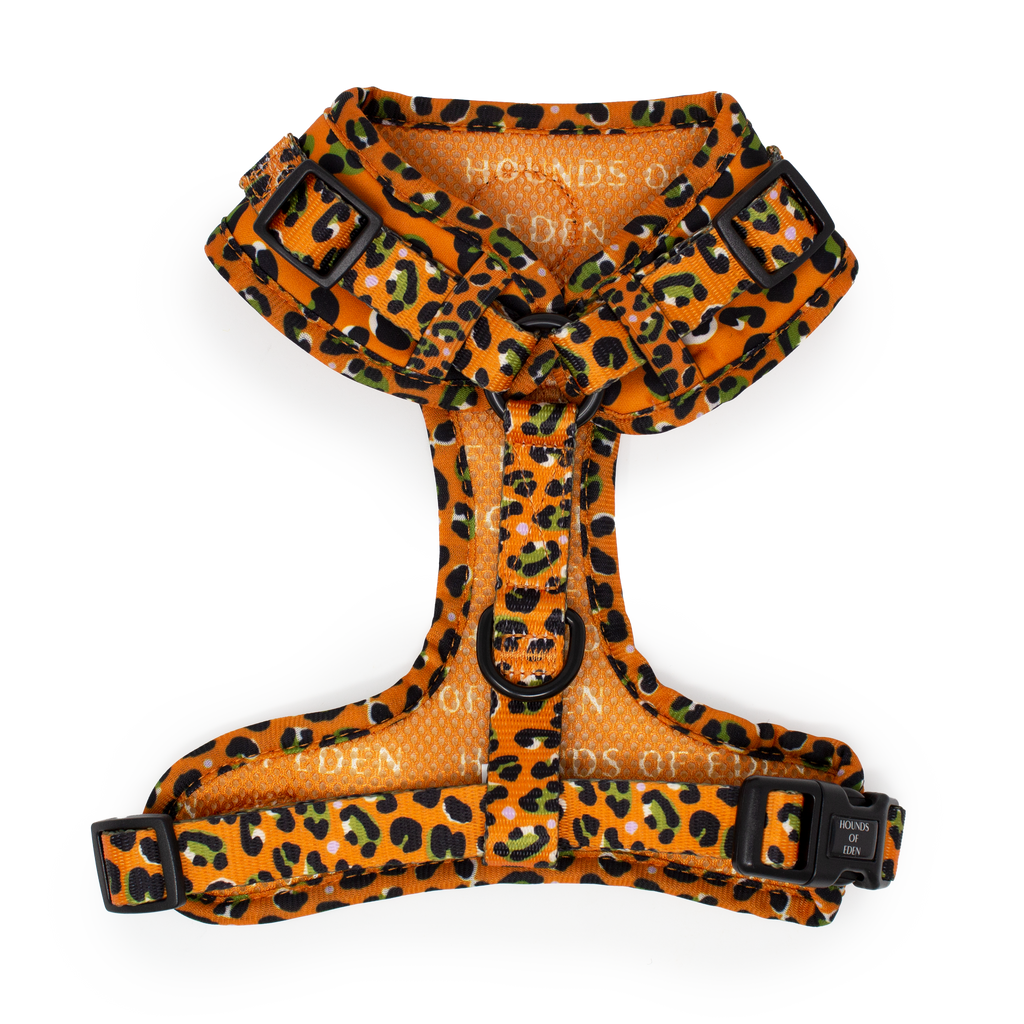 Burnt Orange Leopard Design Dog Collar