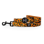 Burnt Orange Leopard Design Dog Collar
