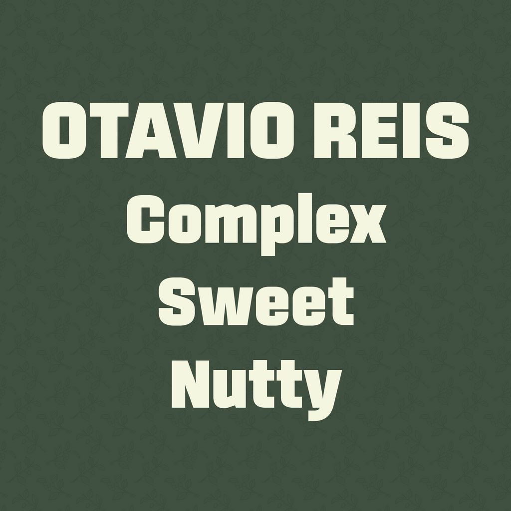OTAVIO REIS - Brazil