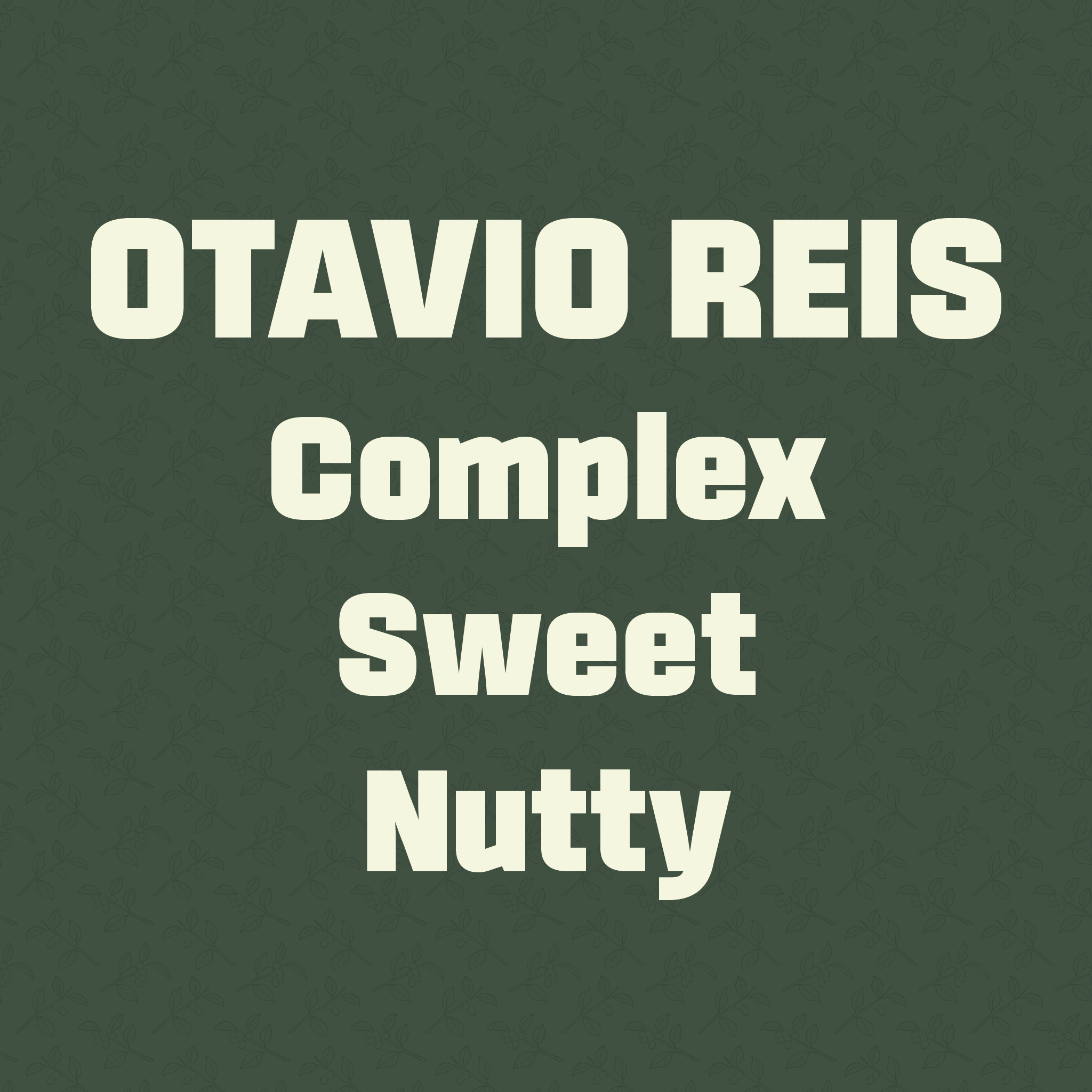 OTAVIO REIS - Brazil