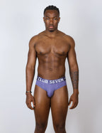 LUXE Cotton Passion Purple Briefs