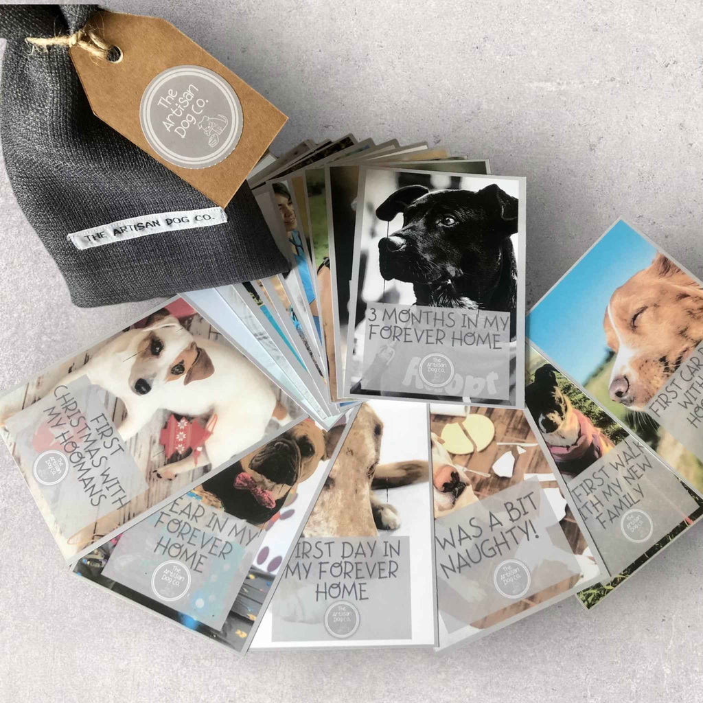 New Dog Milestone Cards