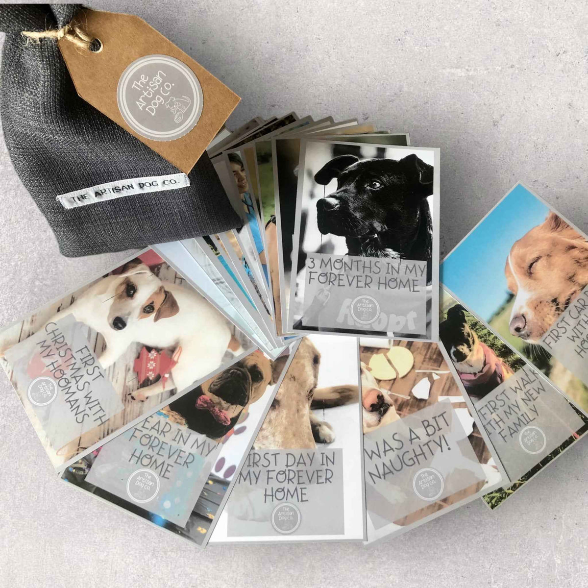 New Dog Milestone Cards