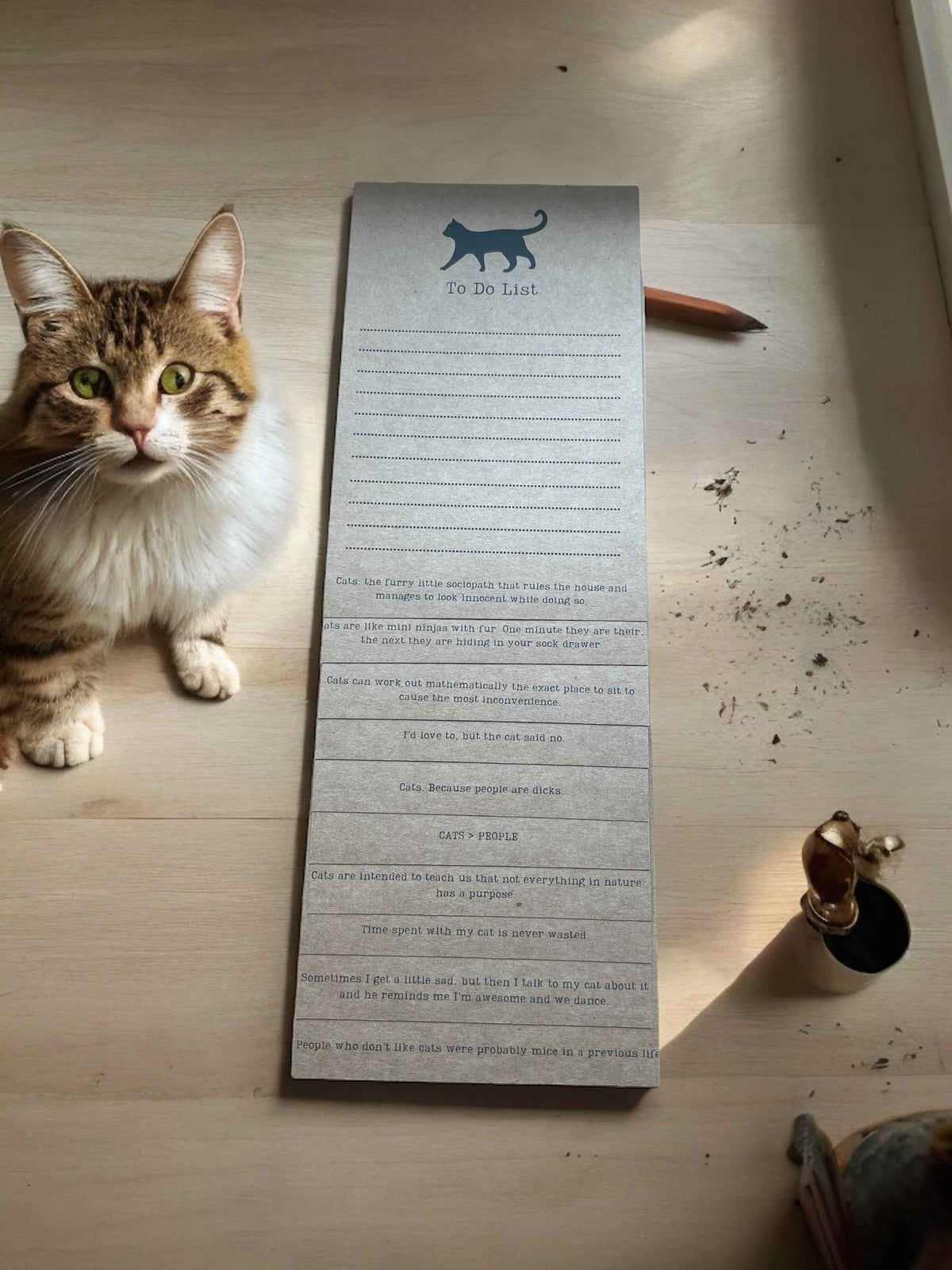 Cat Lover To Do Lists on Clipboard