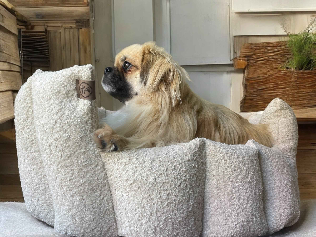 Luxury Bouclé Dog Bed with Removable Cushion – Handmade in Devon