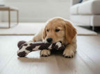 Handcrafted Toy Squeaky Dog Bone - choice of fabrics