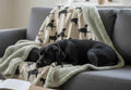Walter Dog Blanket | Luxury Handmade Reversible Sherpa Fleece | Elegant Dog Print Pet Throw UK