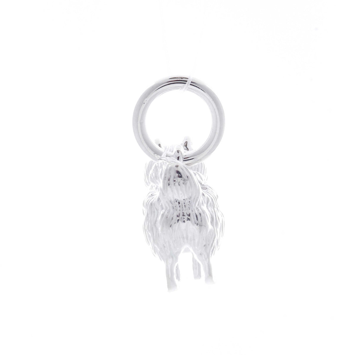 Pomeranian Personalised Silver Dog Tag Necklace