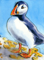 "Puffin III" Print