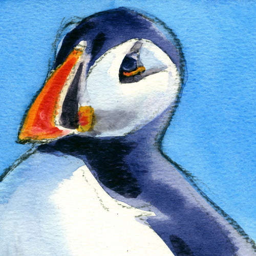"Puffin III" Print