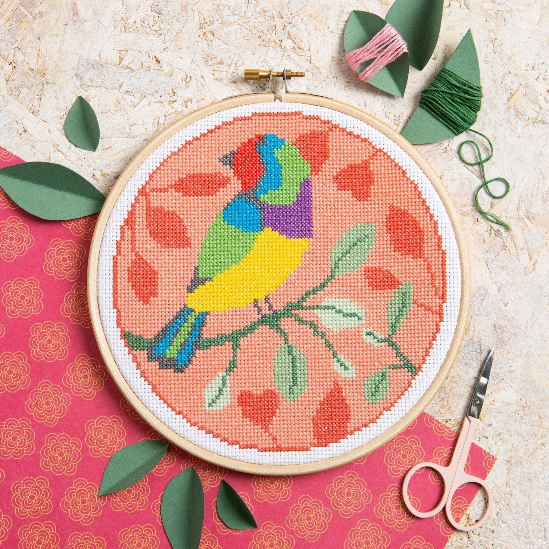 Rainbow Finch Cross Stitch Kit for Beginners