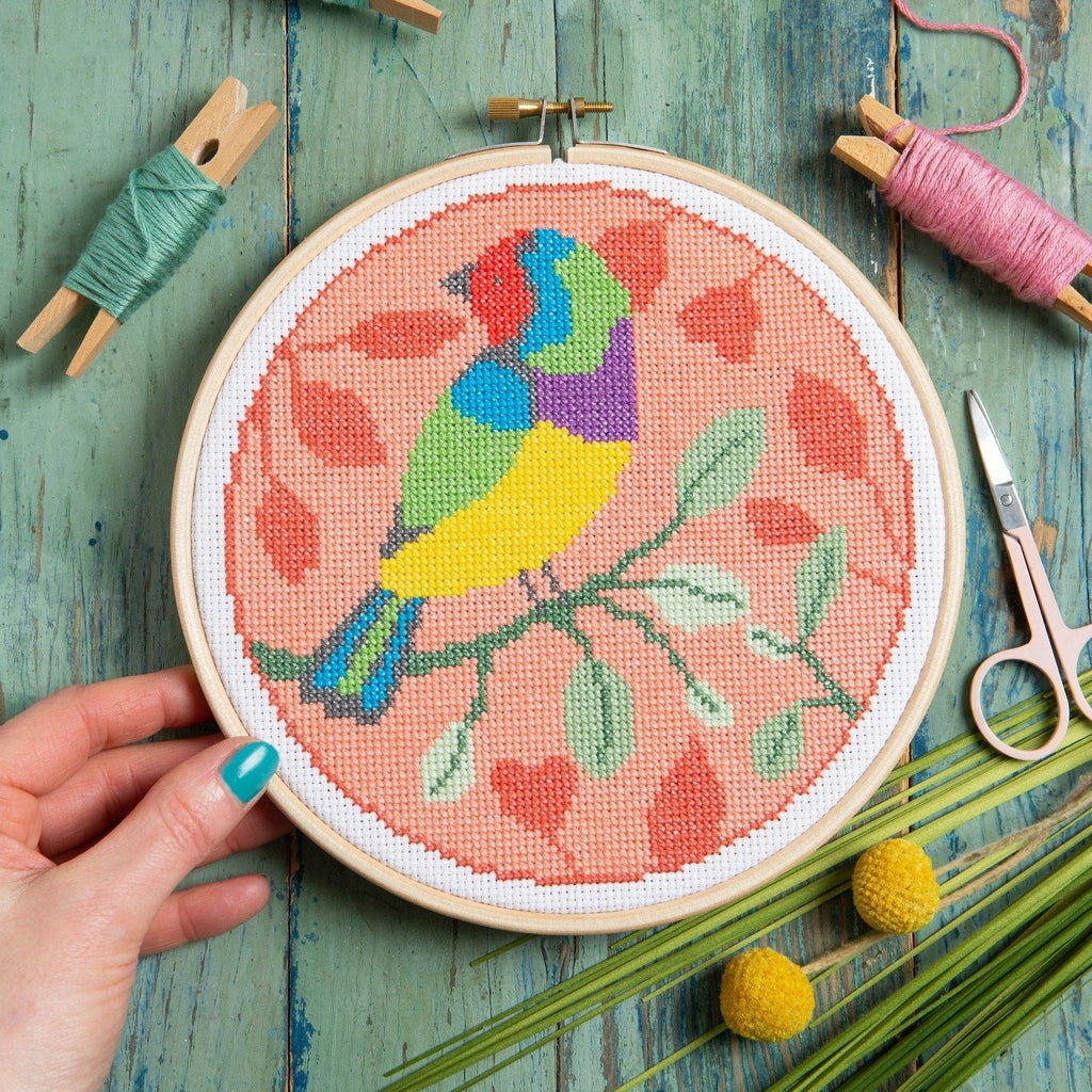 Rainbow Finch Cross Stitch Kit for Beginners