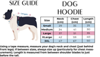 Dog Hoodie - Light Teal