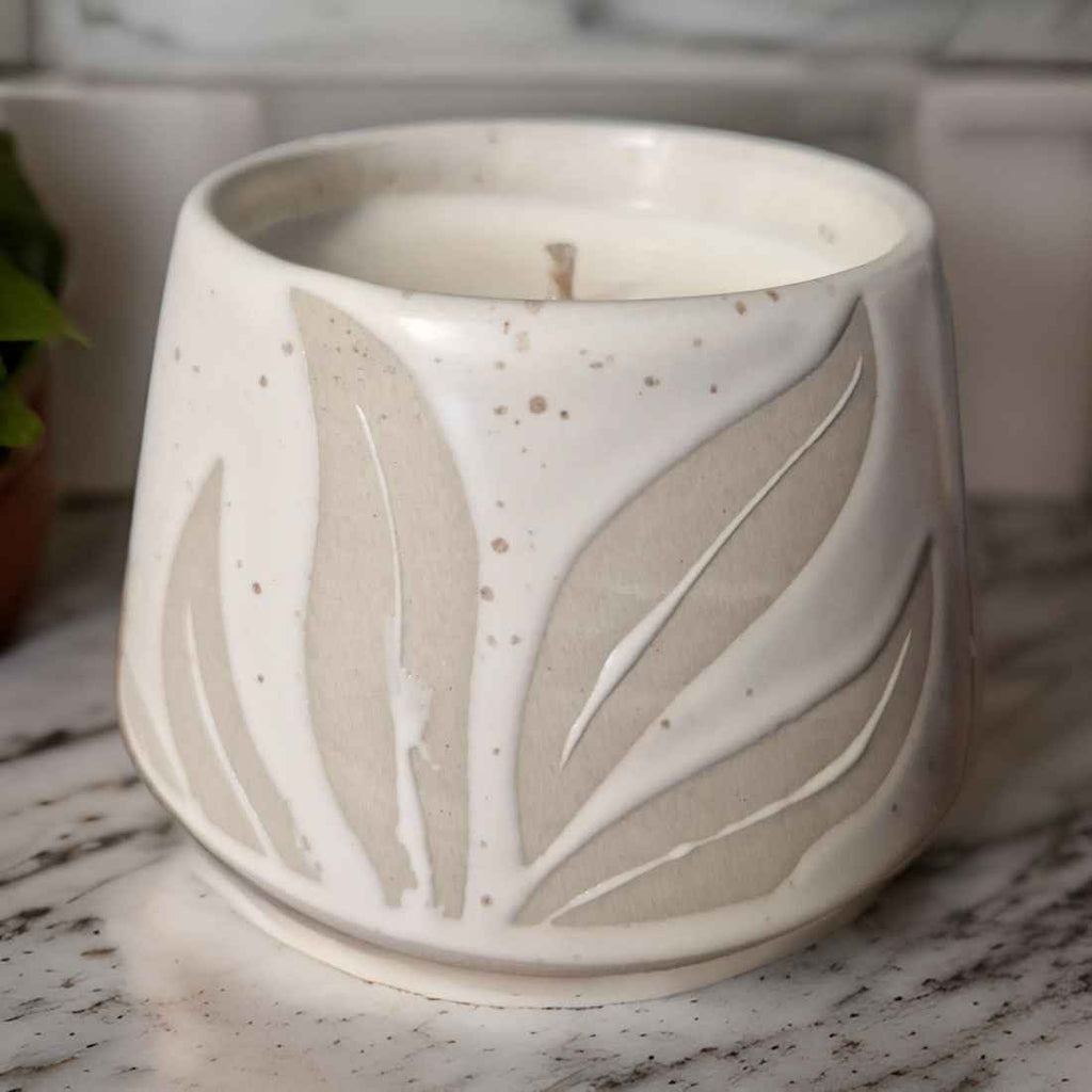 Hesperantha Detail Plant Pot