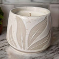 Hesperantha Detail Plant Pot