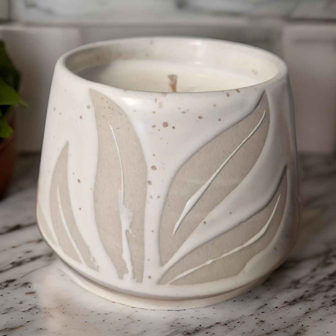 Hesperantha Detail Plant Pot