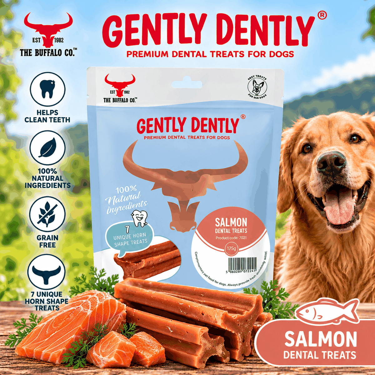 Gently Dently- Salmon Dental Treats for Dogs 175g