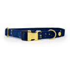 Sapphire Stars Velvet Harness