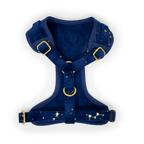 Sapphire Stars Velvet Collar